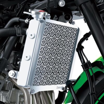 Radiator screen