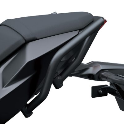 Passenger Grab Bar (Z650 S)