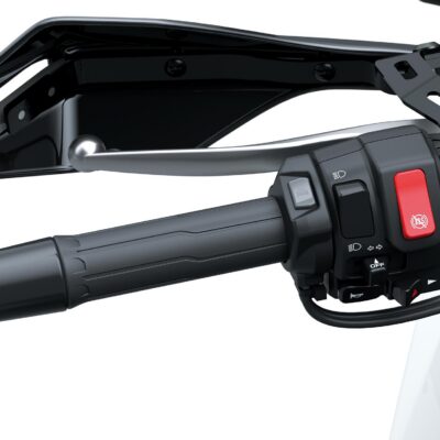 Heated Grip Set (KLE500/SE)