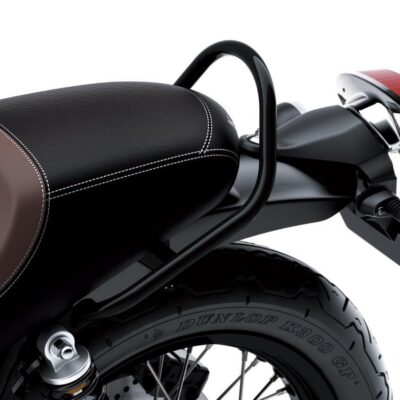 Passenger Grab Bar, Black (W800)