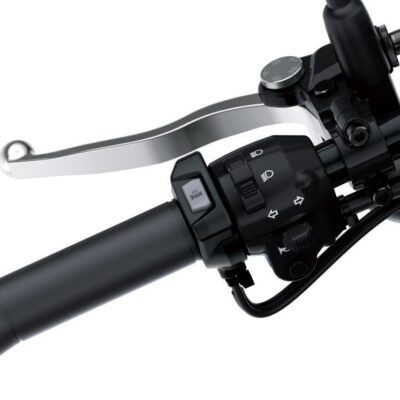 Heated Grip Set (W800)